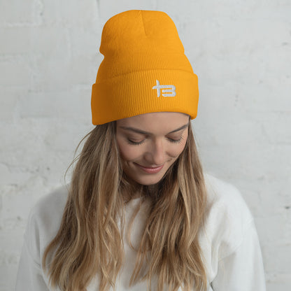 Tehbebe x Cuffed Beanie